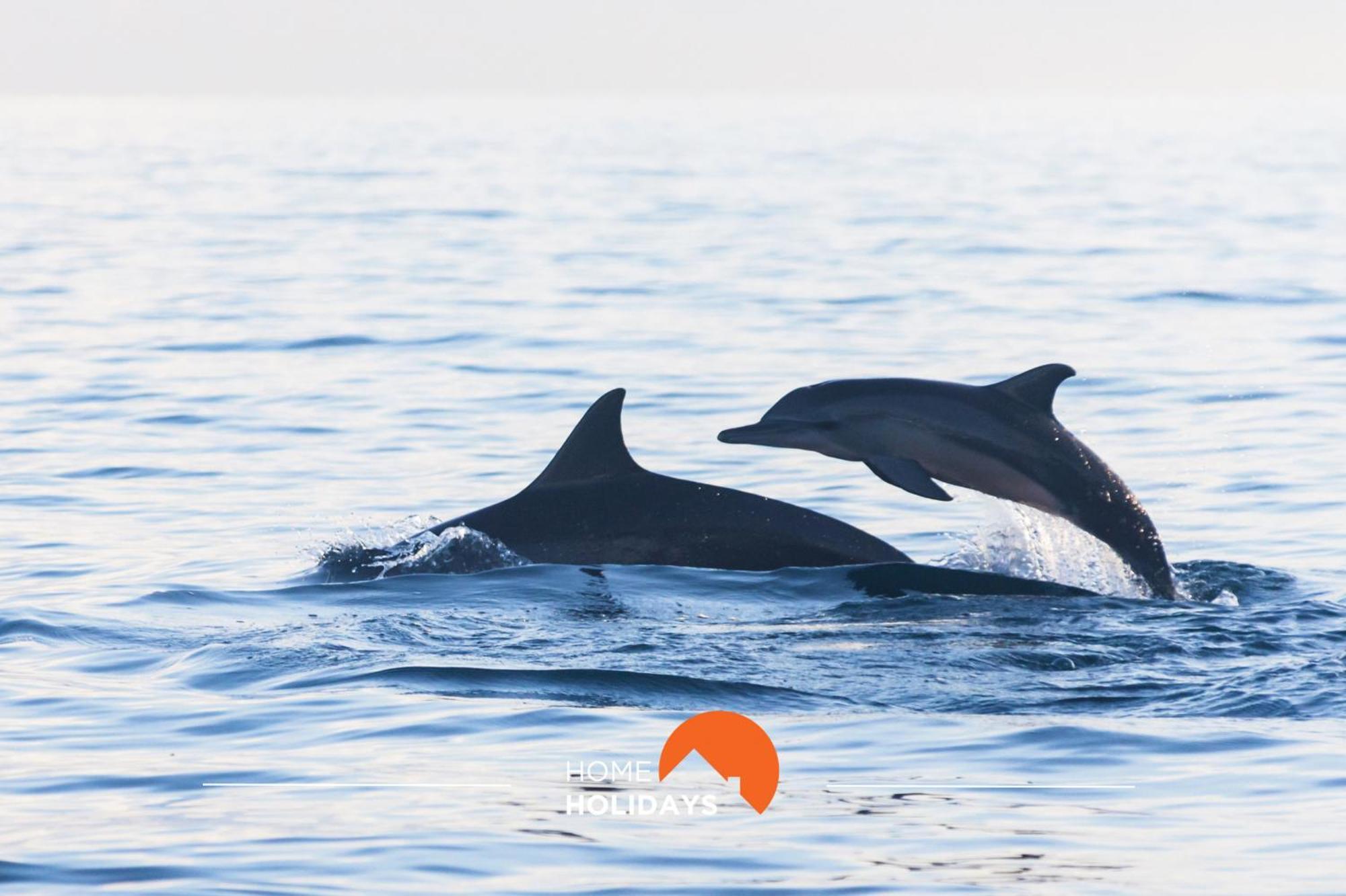 #008 T2 Tenis By Home Holidays Albufeira Exteriér fotografie